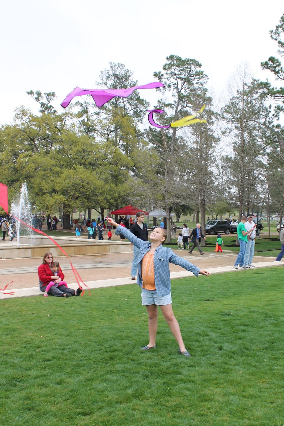 46 Hermann Park Kite Festival March 2014