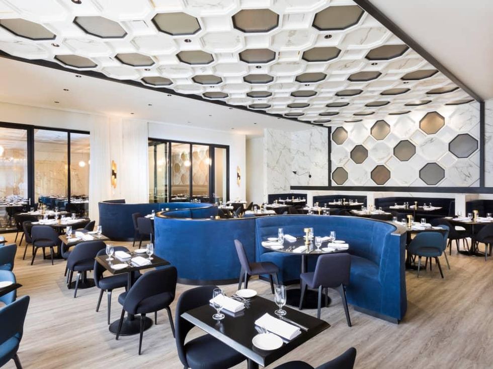 51Fifteen lamb t bone