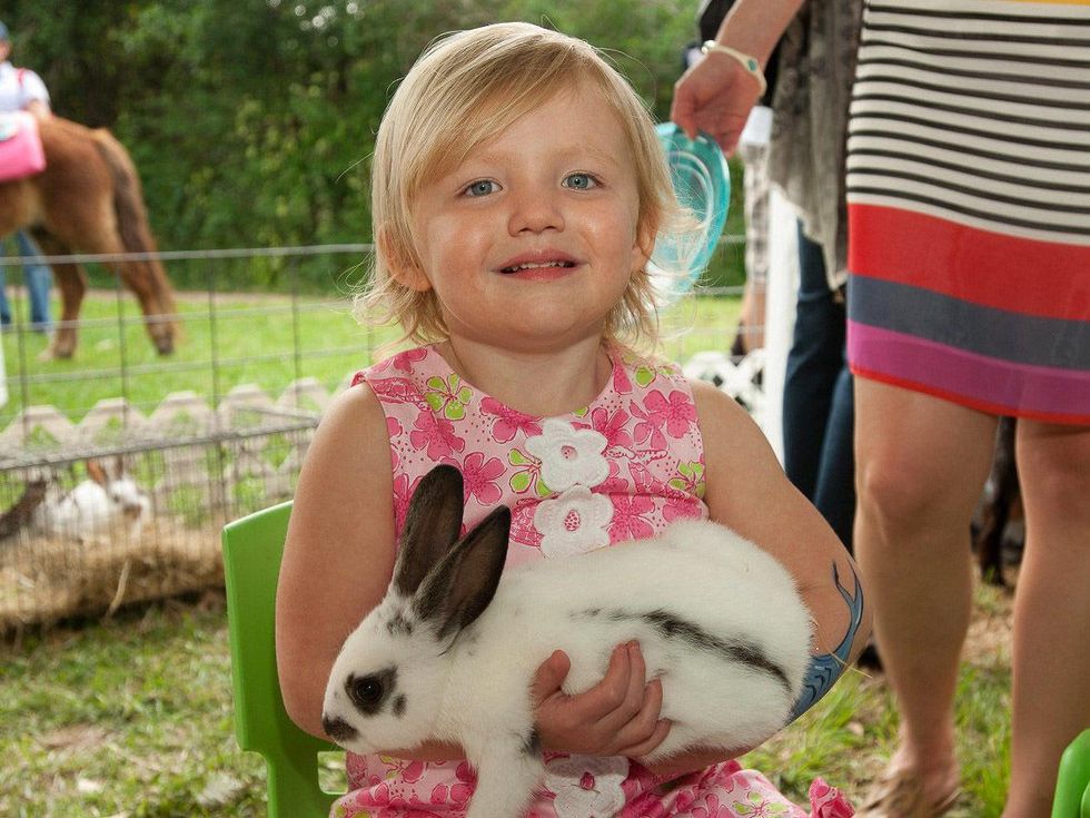 53, Texas Children's Ambassadors party April 2013 Cammy Shepherd with rabbit