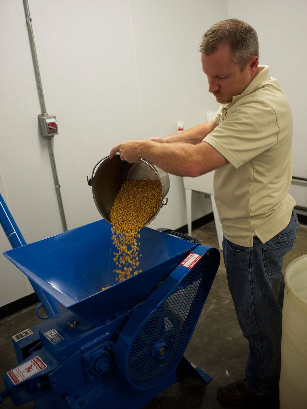 6 Yellow Rose Distilling September 2014 man pouring grains