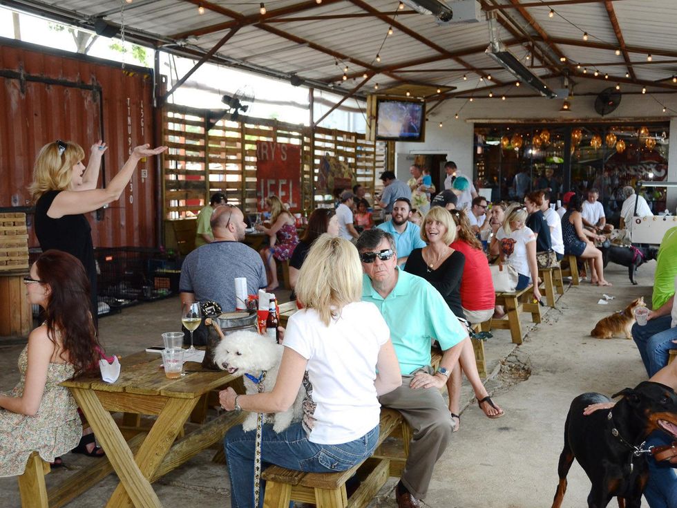 62 CAP's Got Talent event September 2013 crowd venue