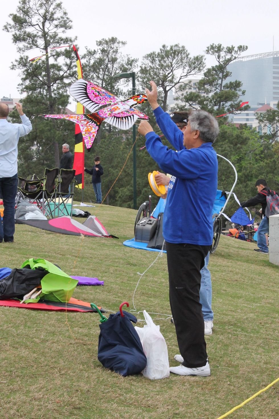 63 Hermann Park Kite Festival March 2014