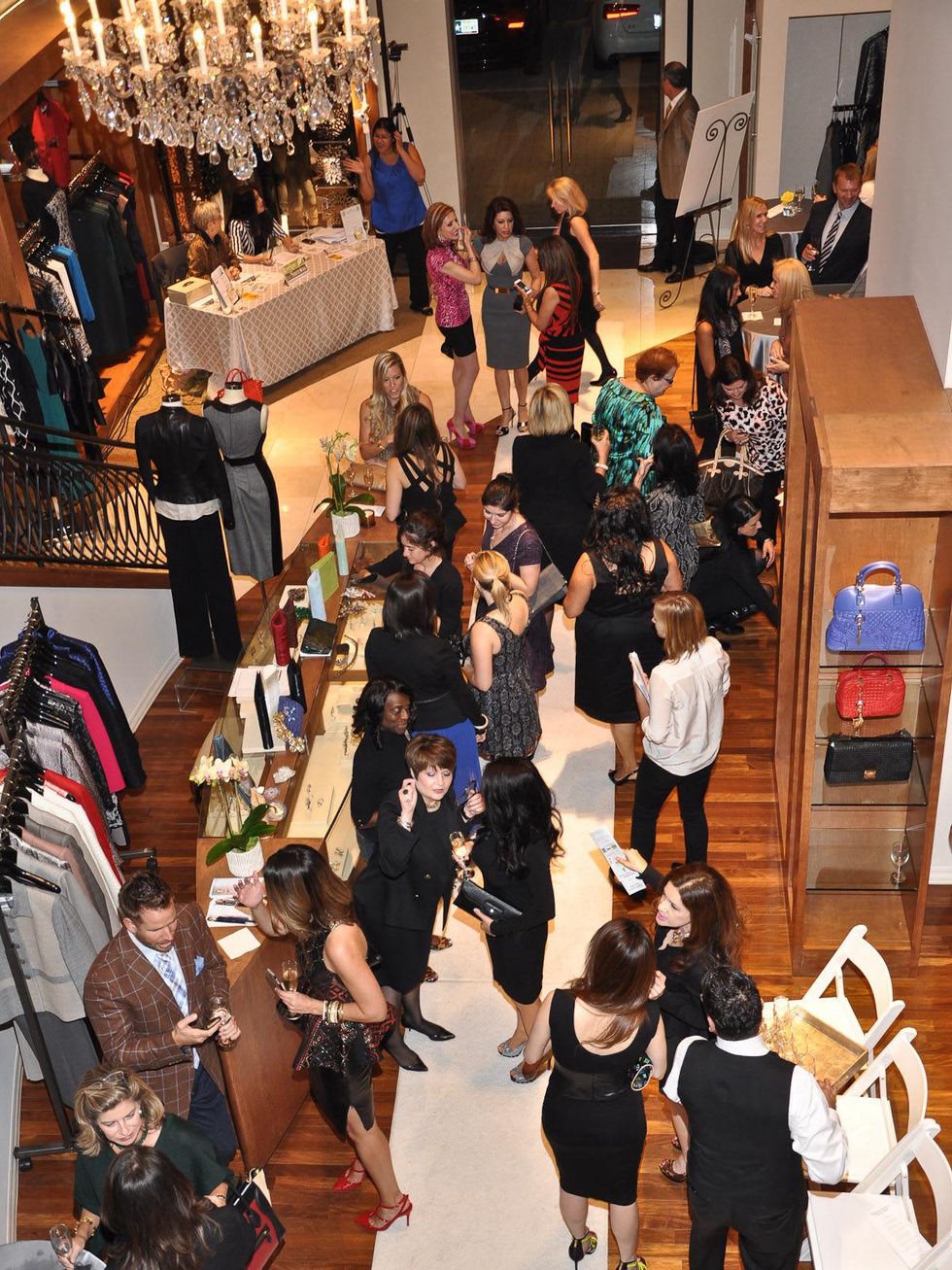 7 crowd at Elizabeth Anthony Esther Wolf at the Recipe for Success' Dress for Dinner