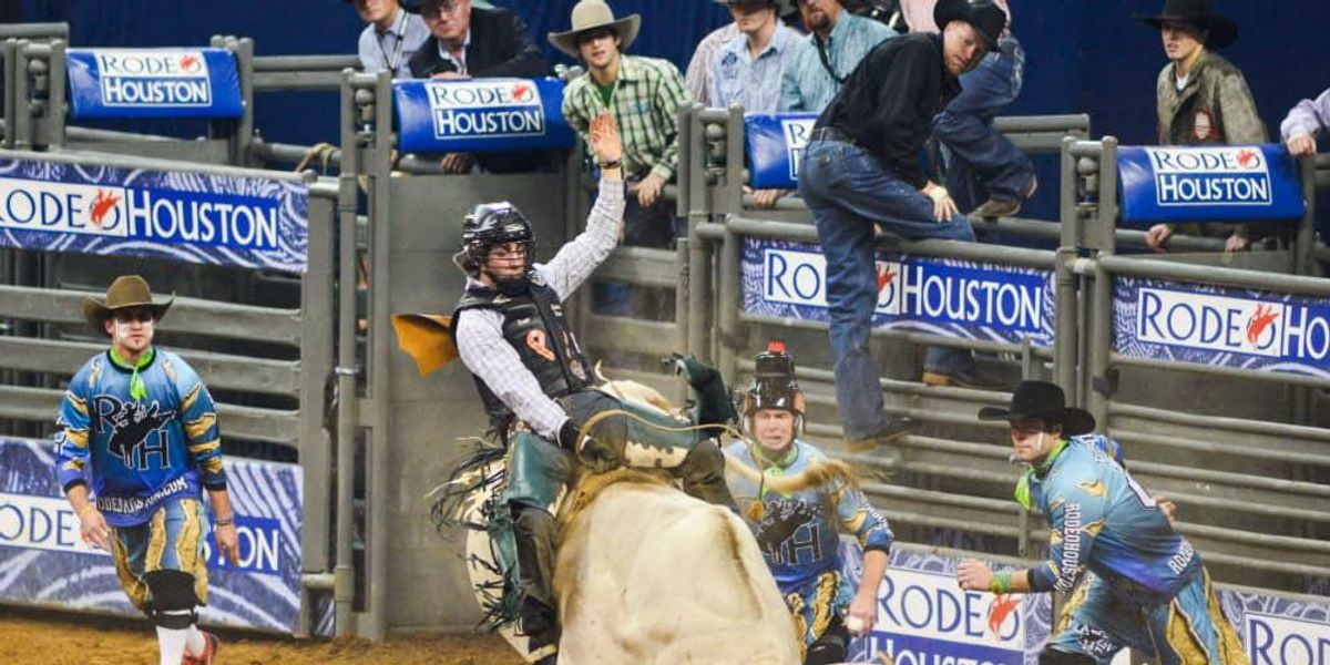 Houston Livestock Show & Rodeo - CultureMap Houston