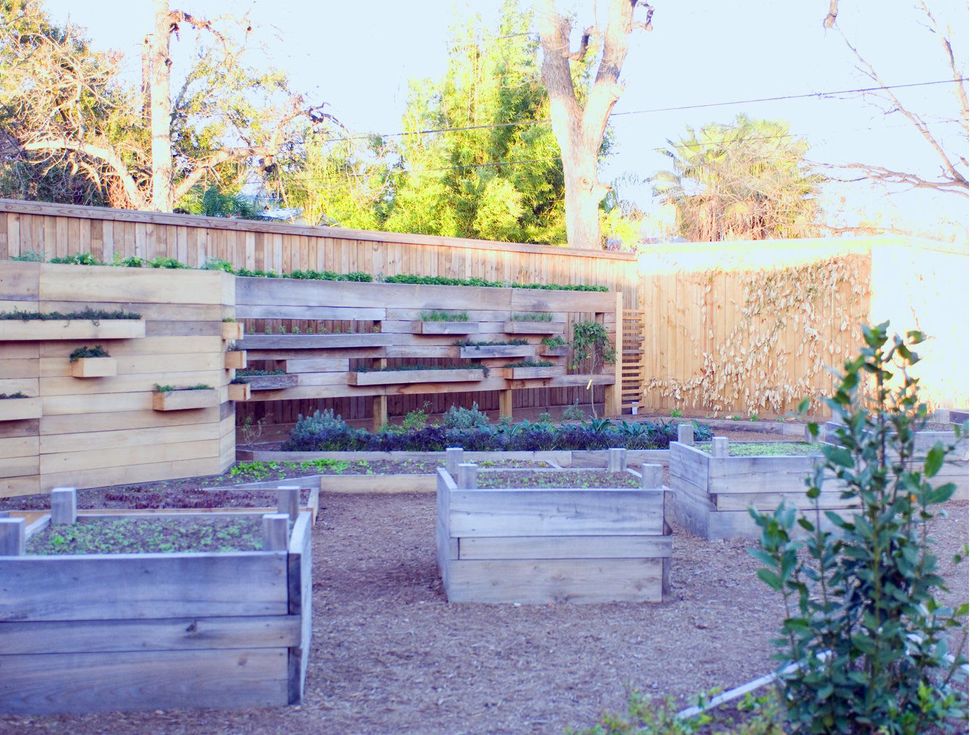 8 Coltivare restaurant Houston January 2014