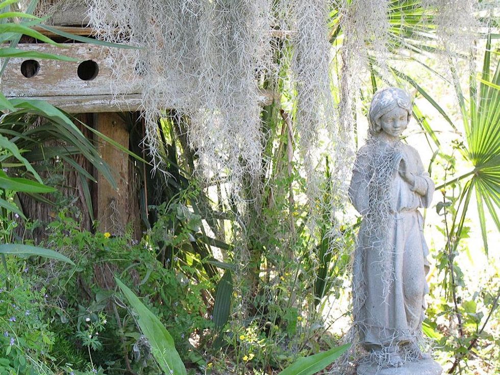 8 Katie Louisiana Revisited Part 9 June 2013 \u201c...pockets of peace are all over the place.\u201d