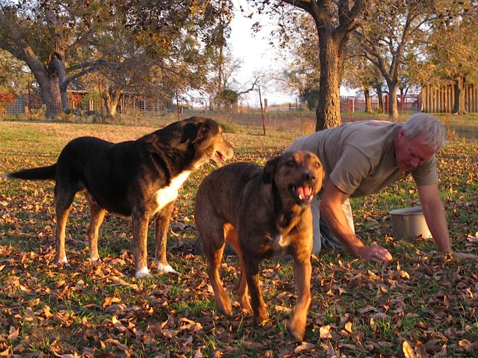8 Katie on pecans November 2013 Pecans everywhere