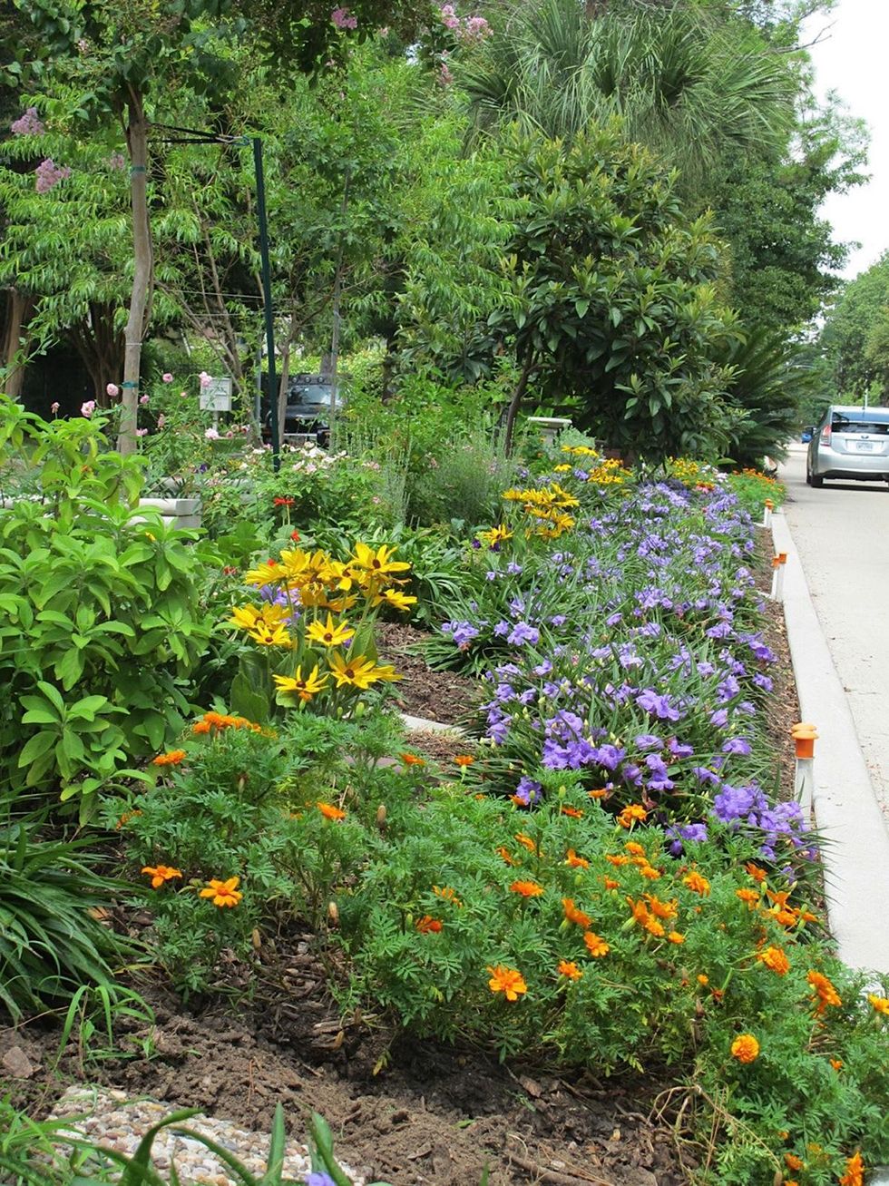 8. Katie Oxford Willem Kegge garden August 2014 The Bonnie Brae Esplanade