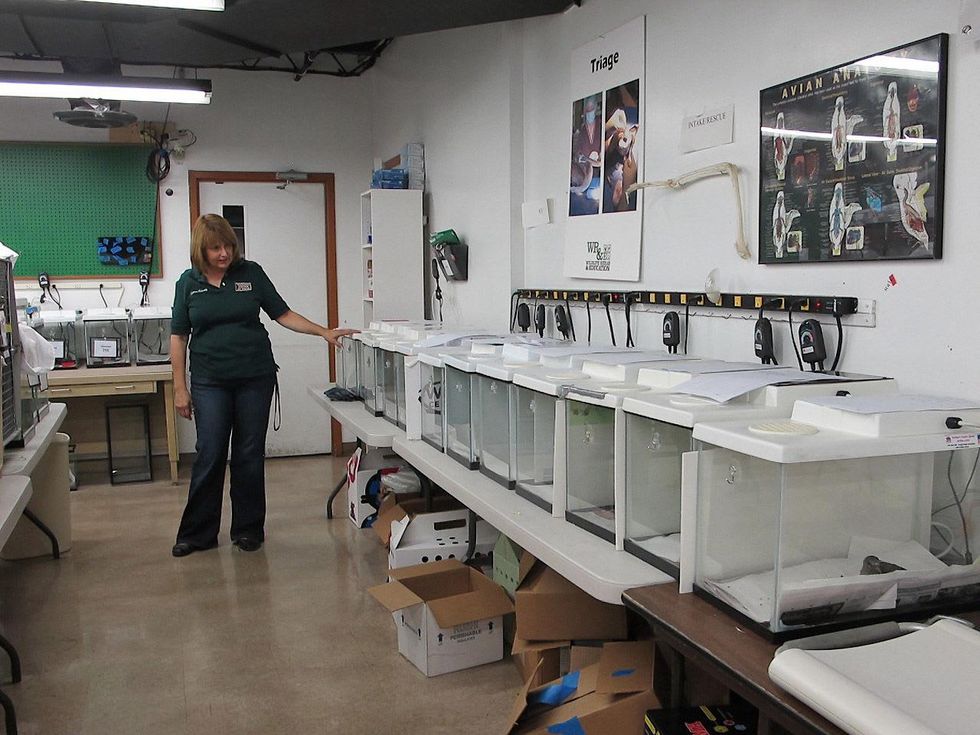 8 Katie Wildlife Center of Texas August 2013 Sharon Schmalz, Executive Director, viewing 13 birds that had just arrived in one hour