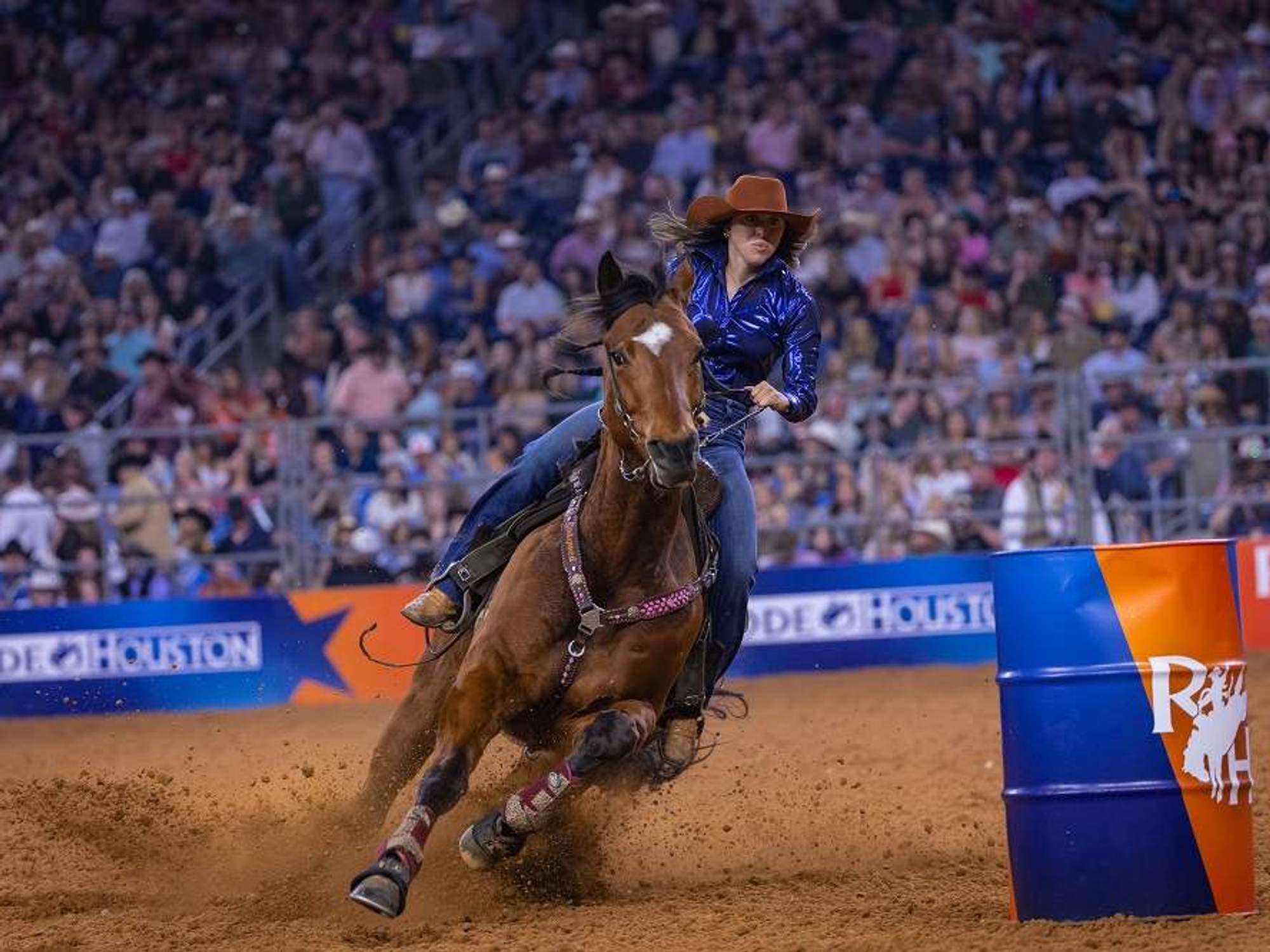 2025 Houston Livestock Show & Rodeo breaks attendance record ...