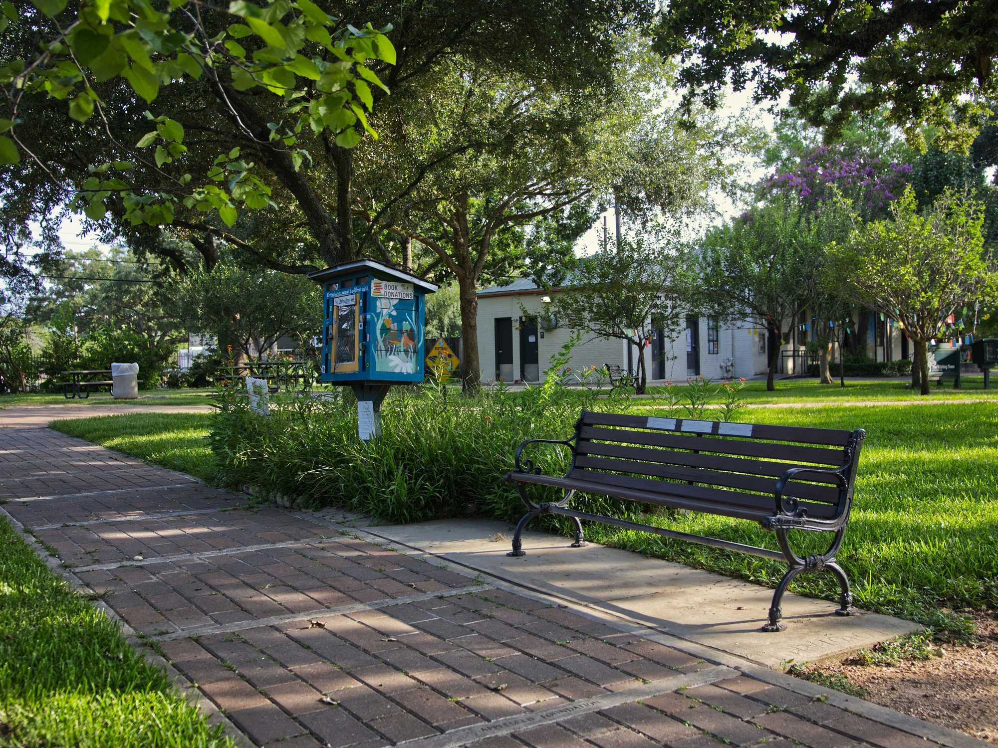 A Houston park with a bench and a little free library