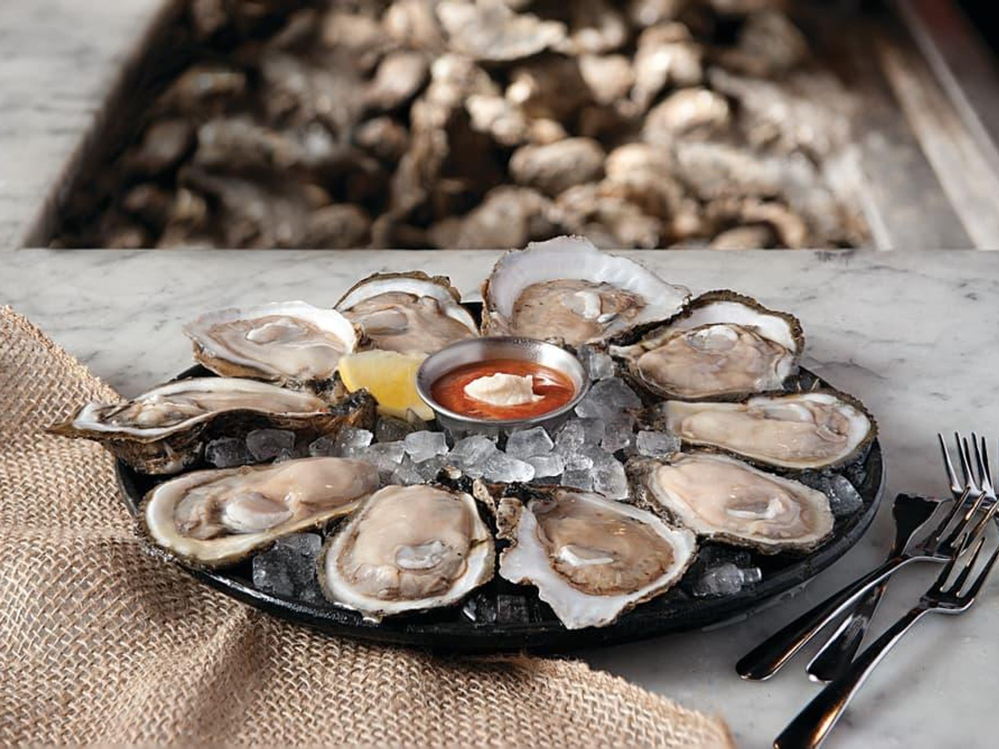 Acme Oyster House raw oysters