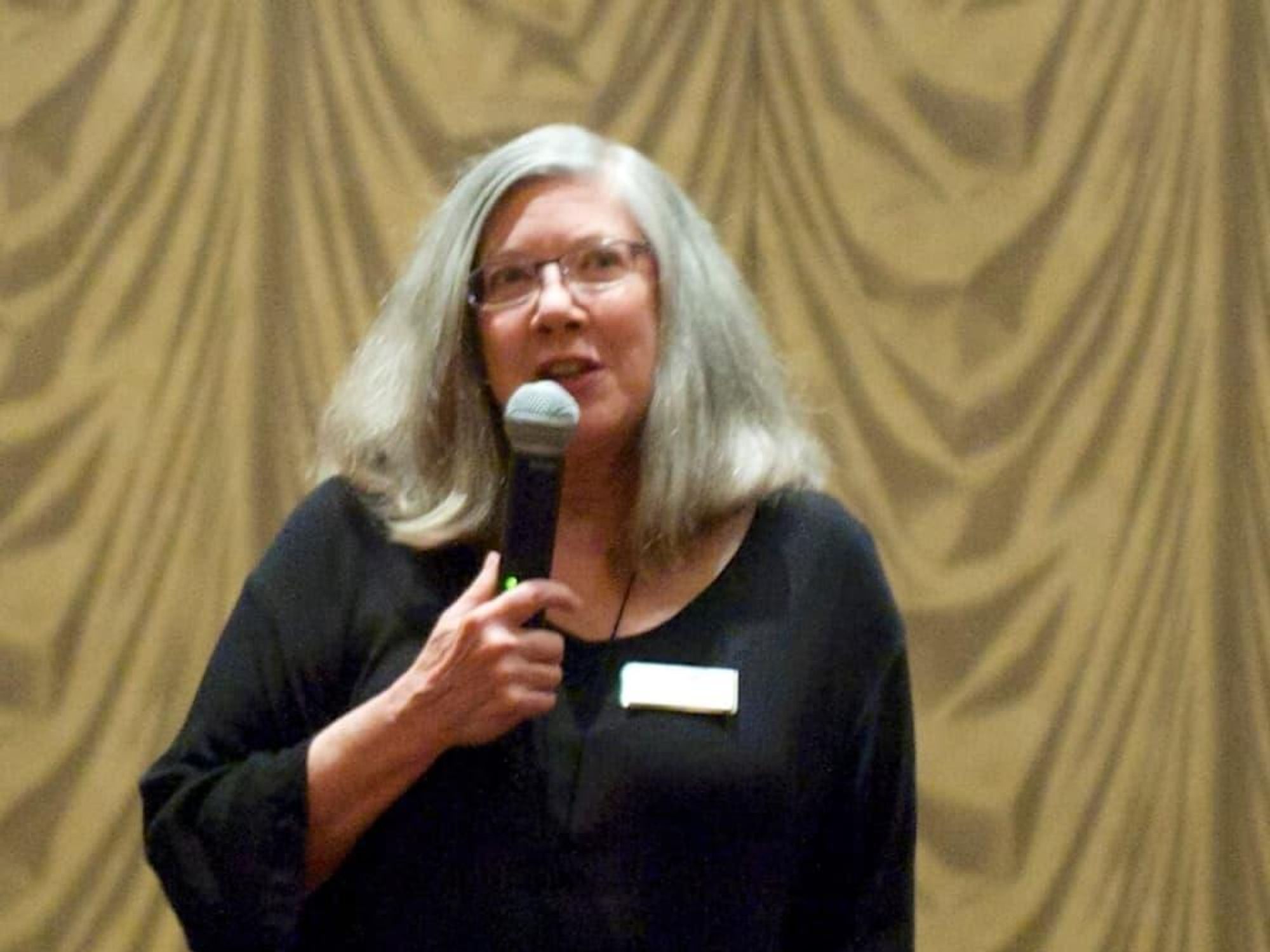 Alison Cook Houston Chronicle