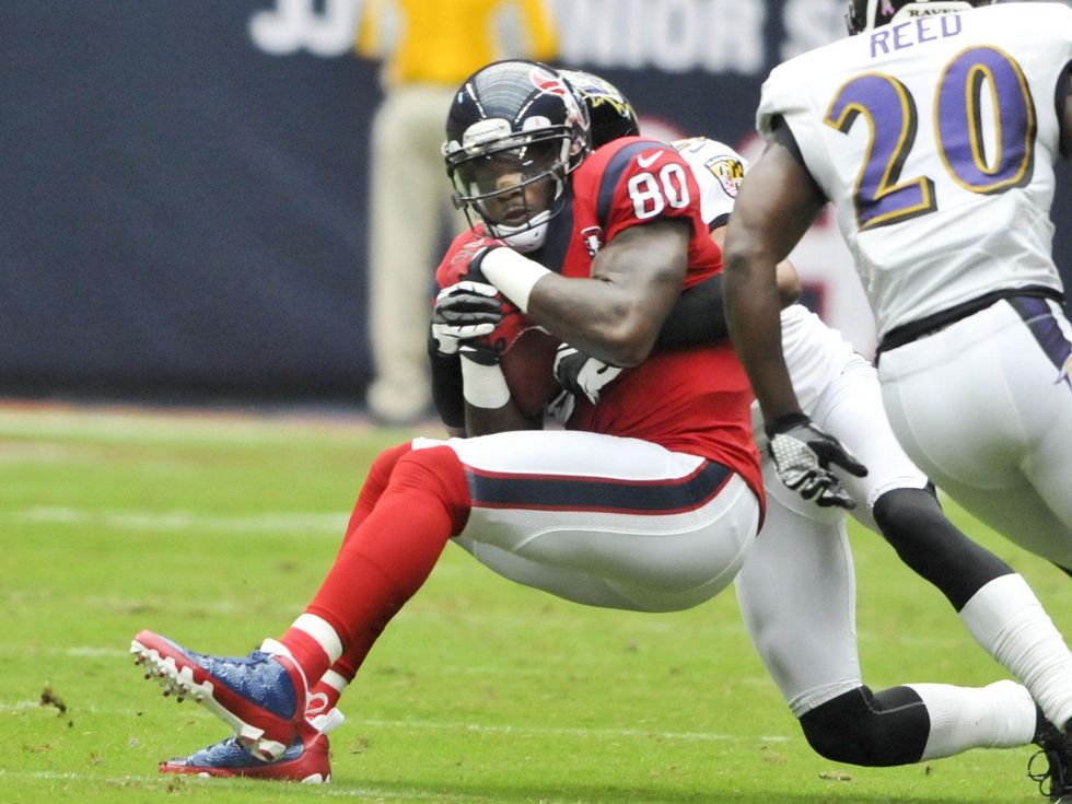 Andre Johnson Ravens catch