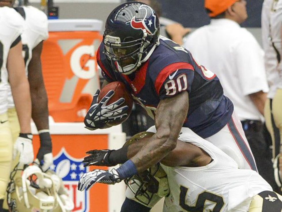 Andre Johnson Texans catch