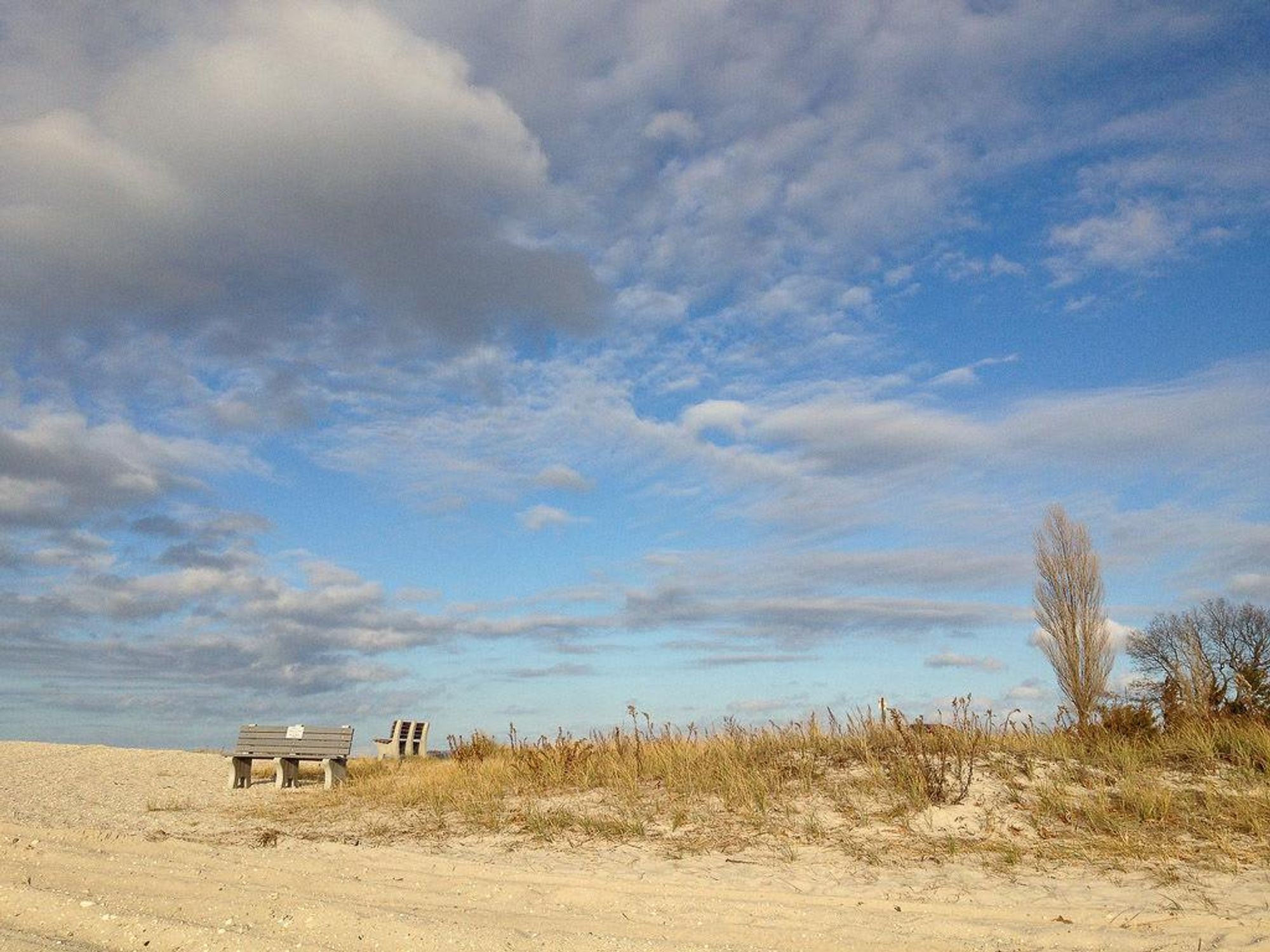 Andrea Grover, beach, sky, sand
