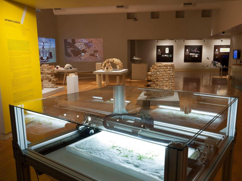 Andrea Grover, Intimate Science, Miller Gallery at Carnegie Mellon University