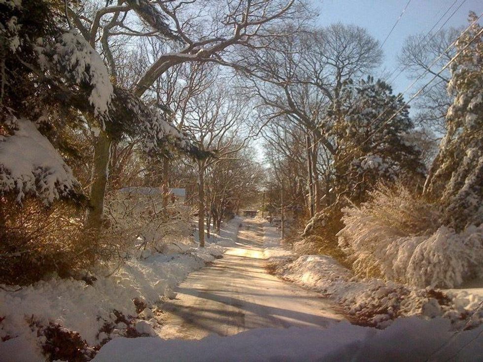 Andrea Grover, snow, road