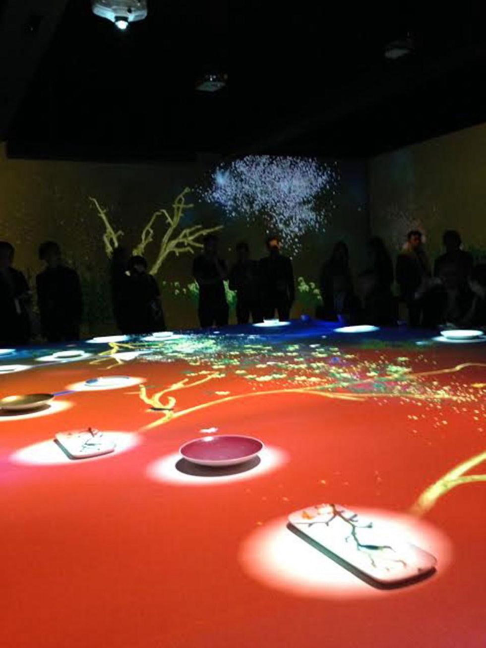 Anne Breux Paris market Studio cook+design, Team Lab, Ligne Roset February 2015