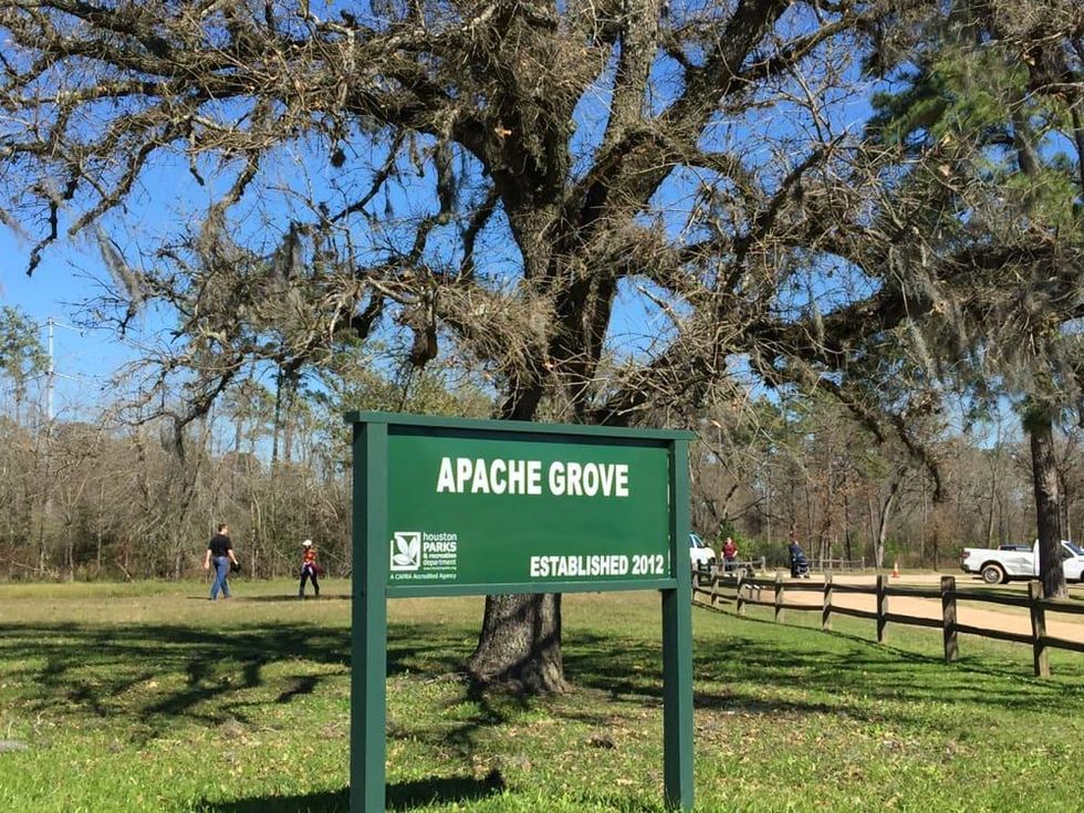 Apache tree planting, Memorial Park, Jan. 2016, Apache Grove