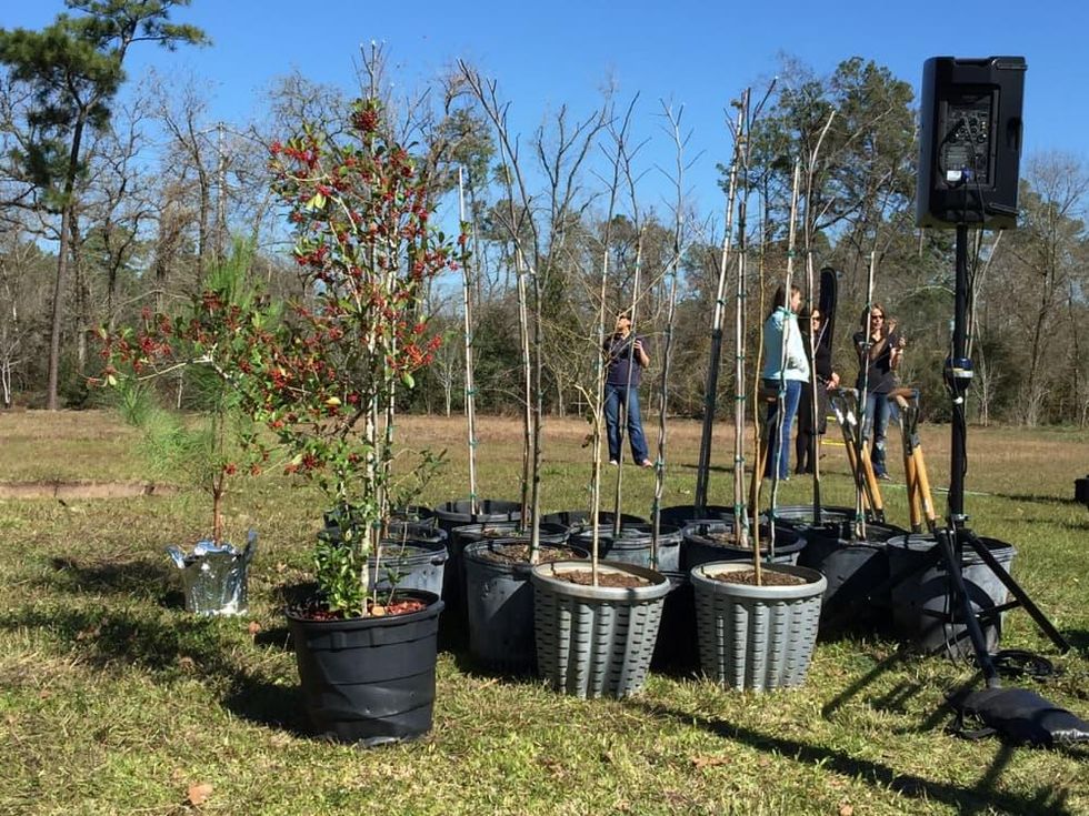 Apache tree planting, Memorial Park, Jan. 2016, Apache Grove