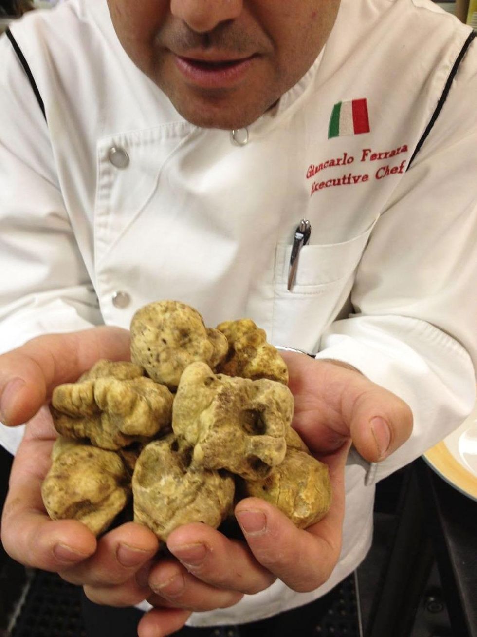 Truffle time! Houston's top restaurants embrace the pricey delicacy