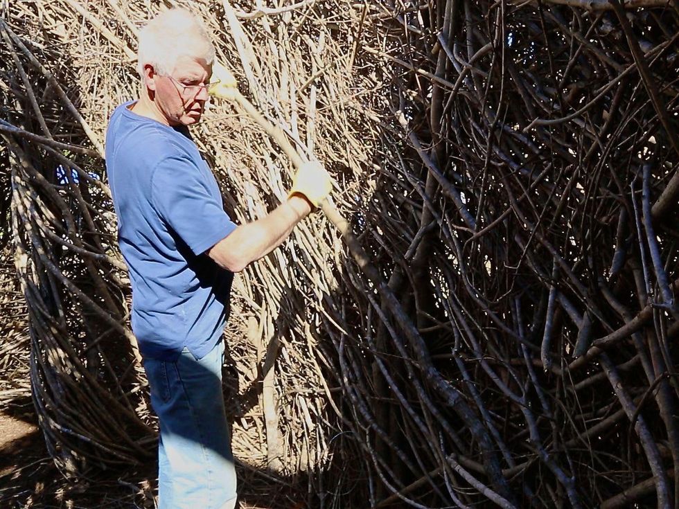 Art in the park Patrick Dougherty