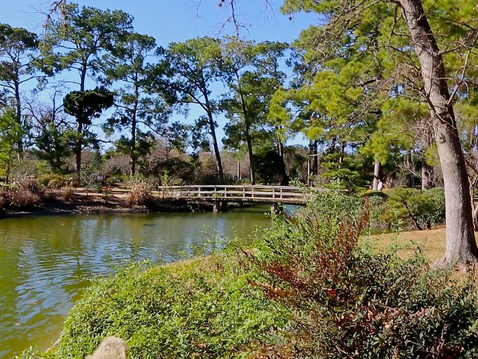 Art in the park Patrick Dougherty