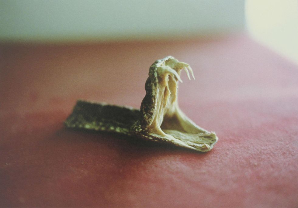 Art Palace, Charlie Morris, Spell