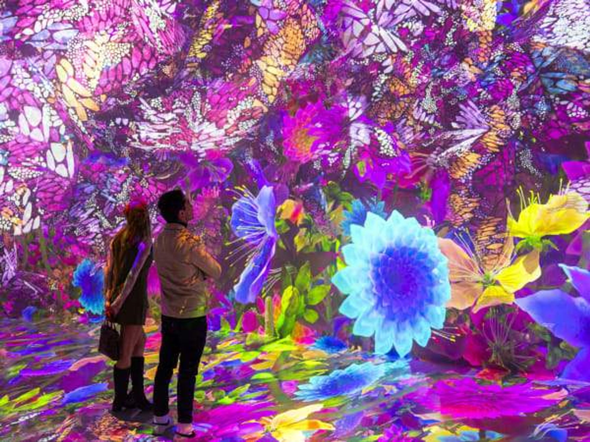 Artechouse presents "Blooming Worlds"