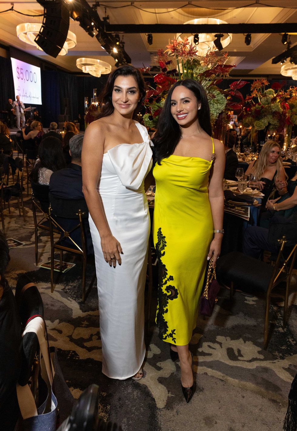 Arts of Healing gala 2025