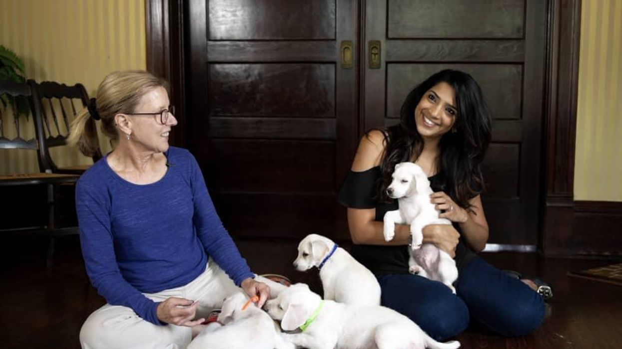 Arushi Garg and puppies