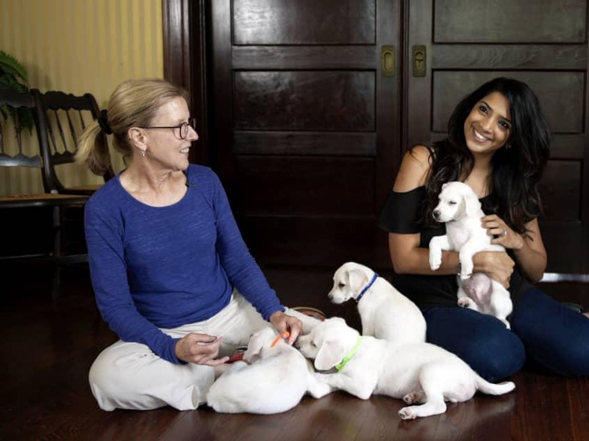 Arushi Garg and puppies