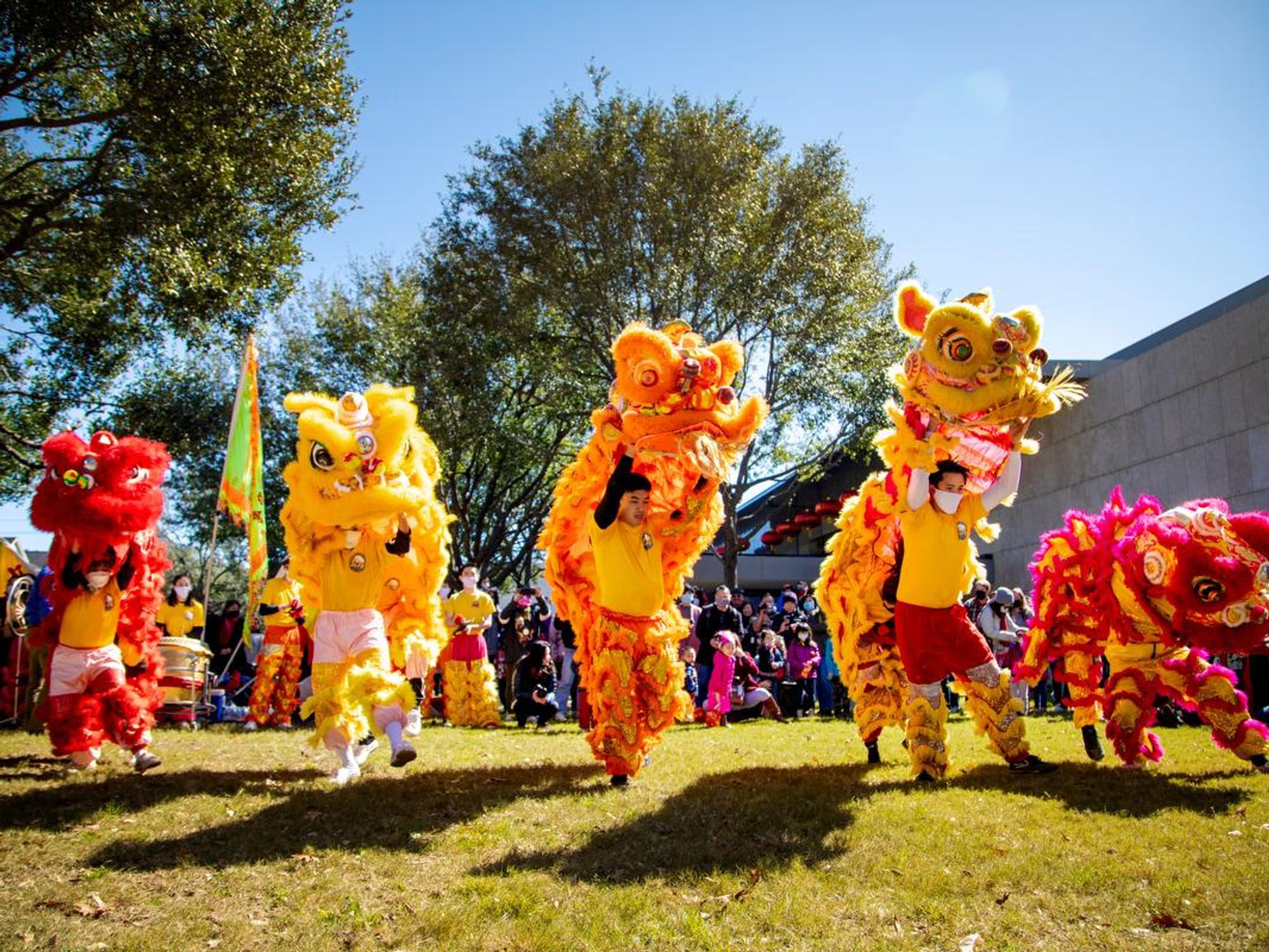 Asia Society Texas Lunar New Year lion dances