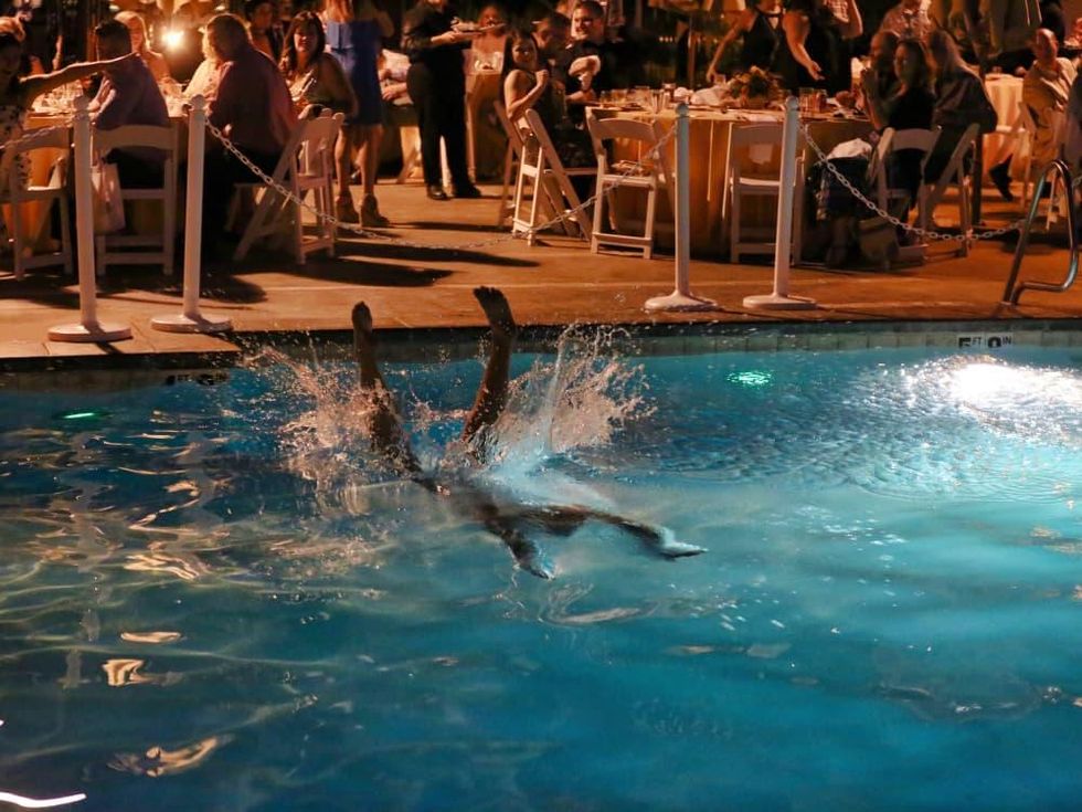 Auctioneer dives into pool at Nuzzles Barking Ball