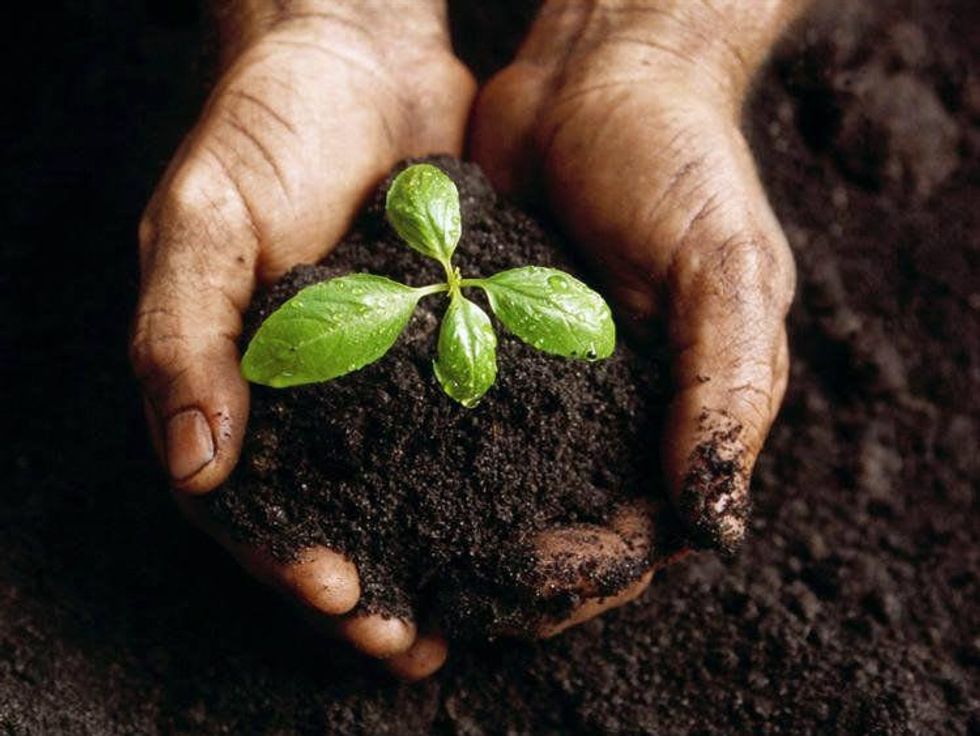 Austin photo: News_Ryan_Organic waste collection_Jan 2013_compost