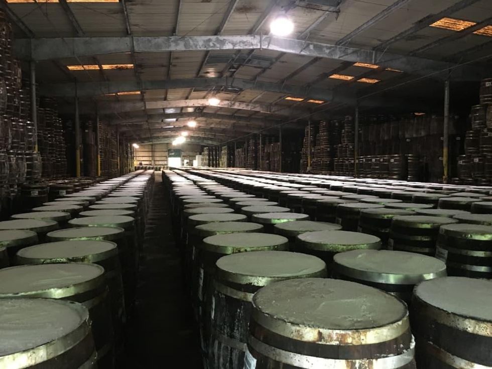 Avery Island: Tabasco aging