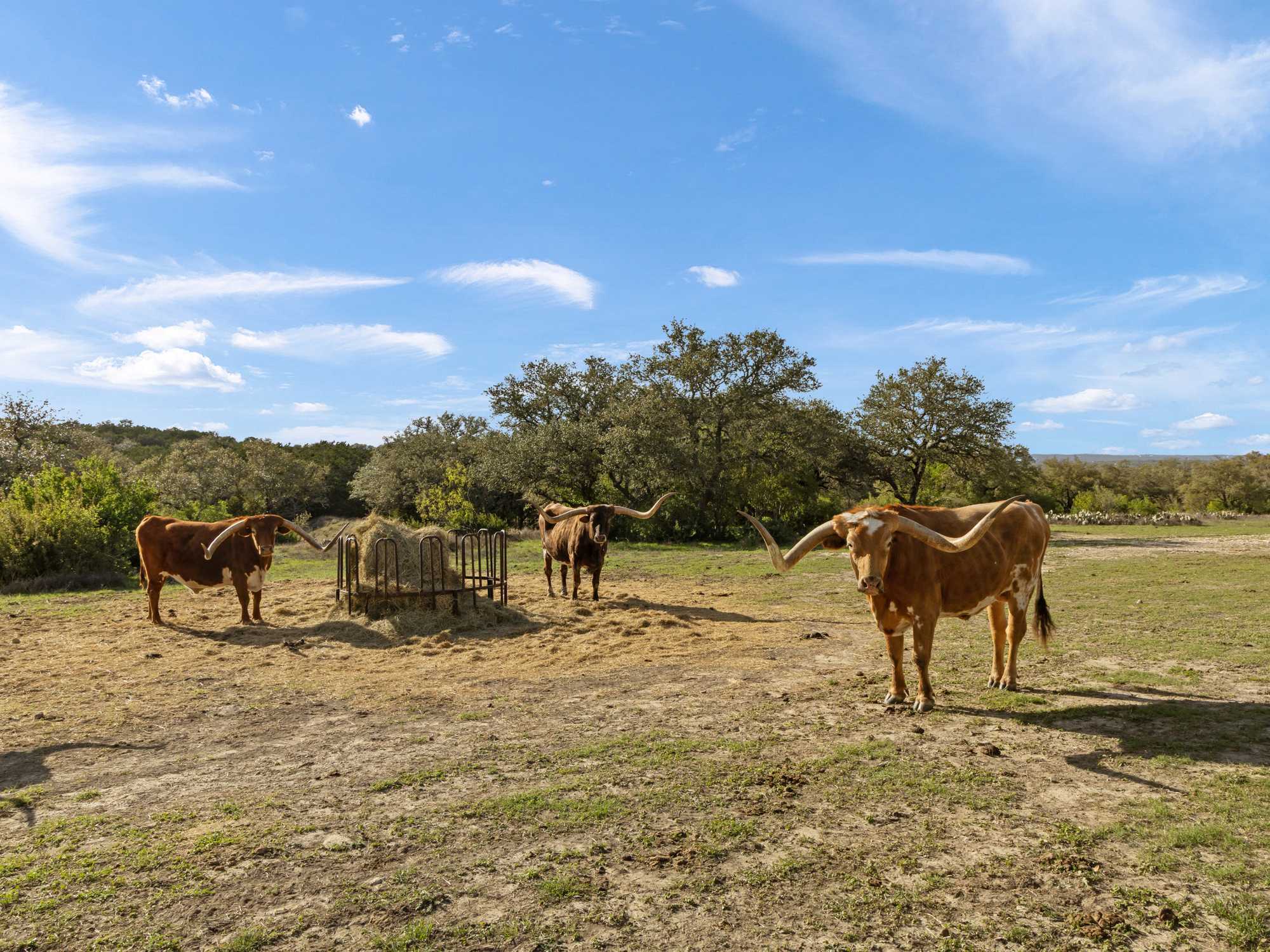 Baird Ranch