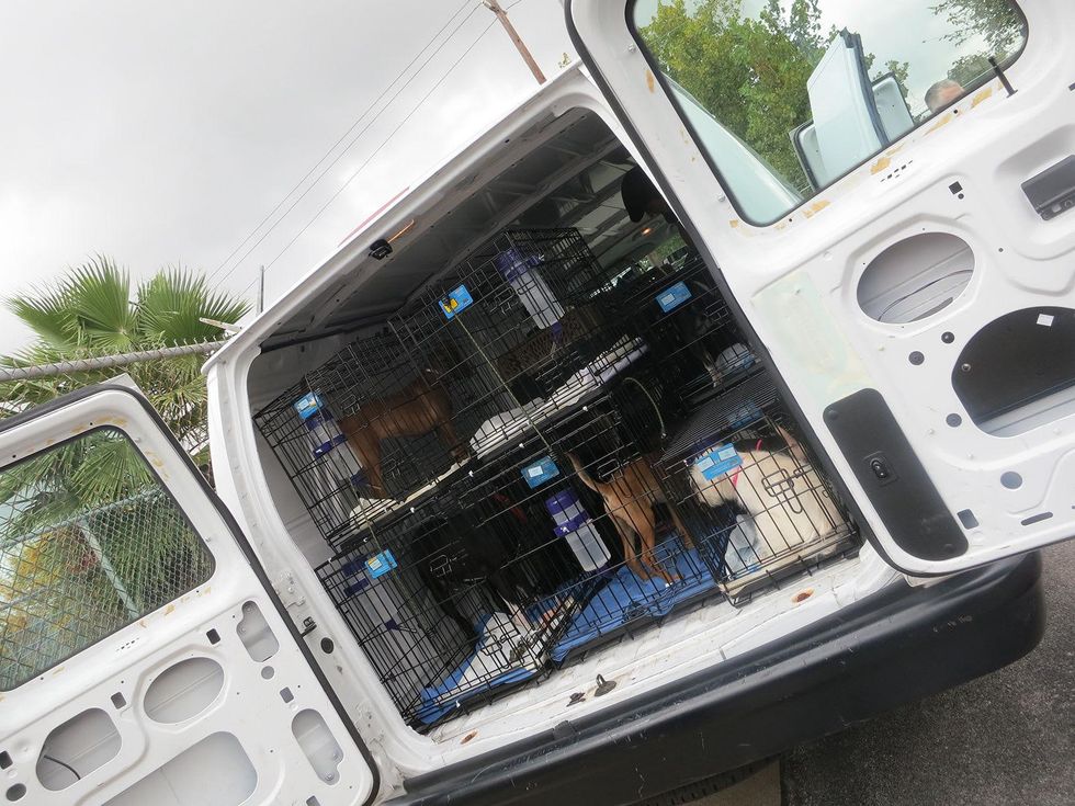 BARC Rescued Pets Movement November 2013 RPM Van loading up for Colorado