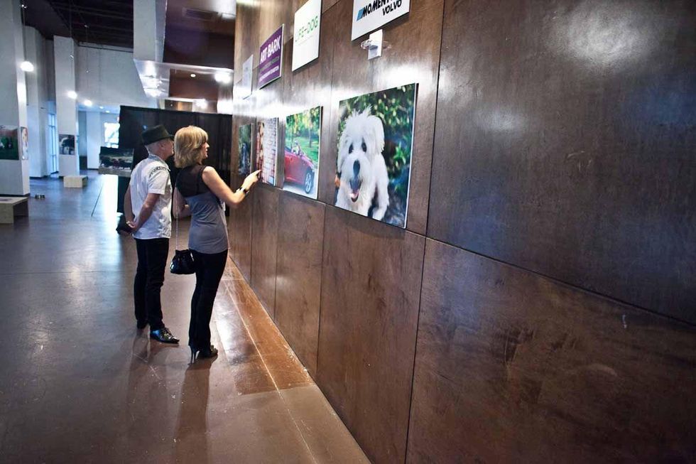 Barkitecture_Yappy Hour