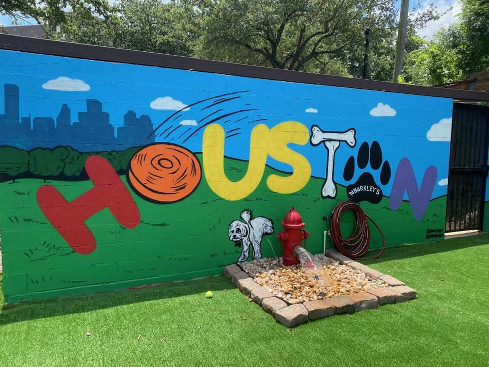 Barkley's Midtown Donkeeboy mural