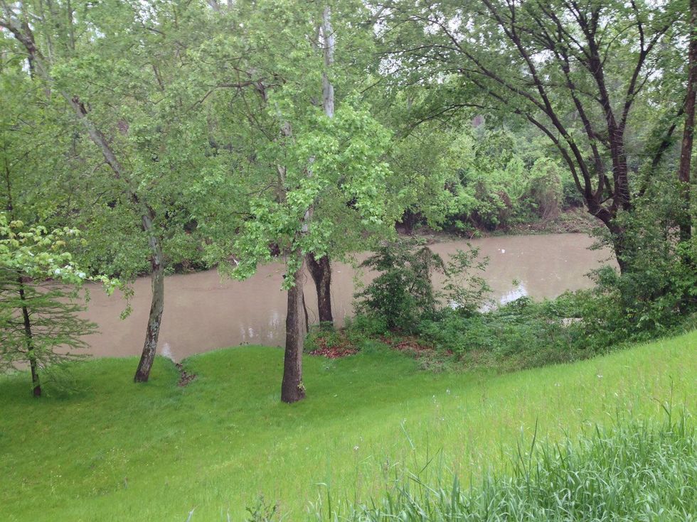 Bayou Preservation Association Buffalo Bayou after rain back yard