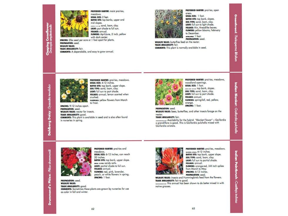 Bayou Preservation Association The Bayou Planting Guide brochure annuals flowers to plant May 2013