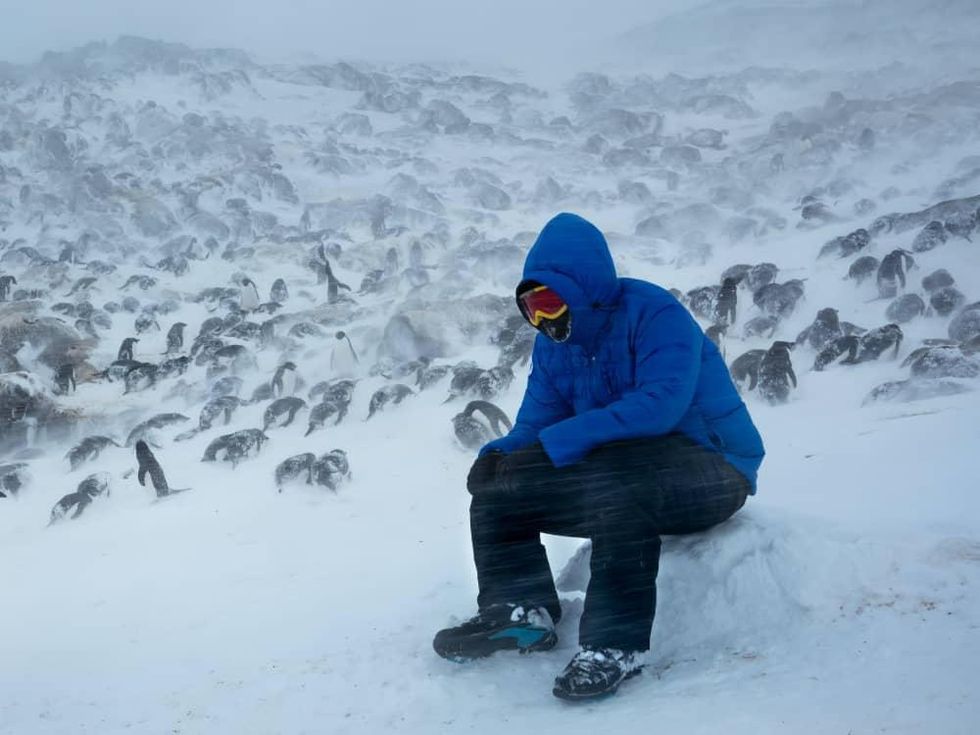 Behind the scenes of DisneyNature's Penguins