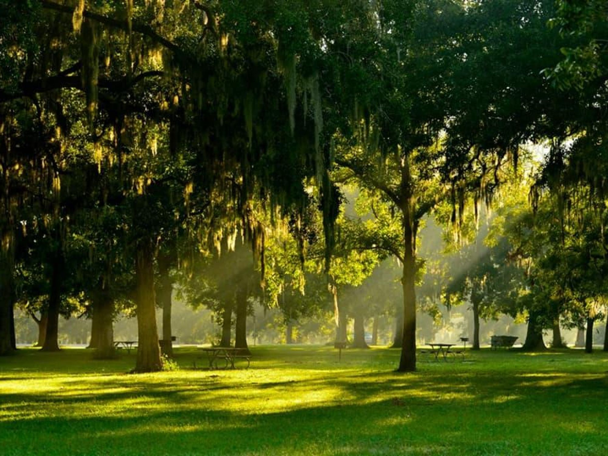 Best Texas State Parks HomeToGo 2021