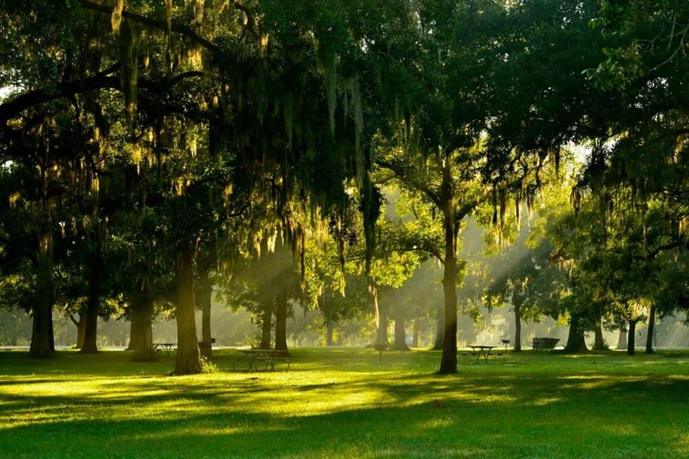 Lush Houston-area paradise blooms on new list of best state parks in ...