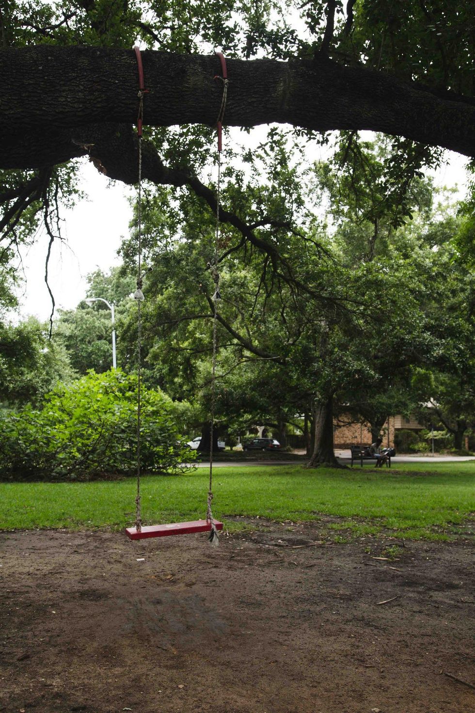 Beyonce Tumblr photo of Menil Park swing