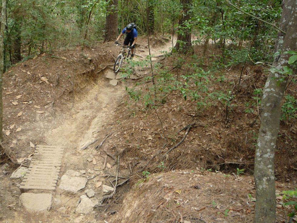biking biker bicycle in Memorial Park bike trail
