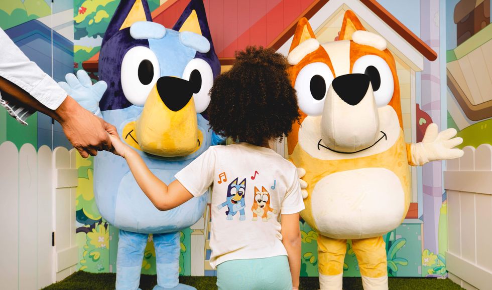 bingo and bluey at CAMP in houston