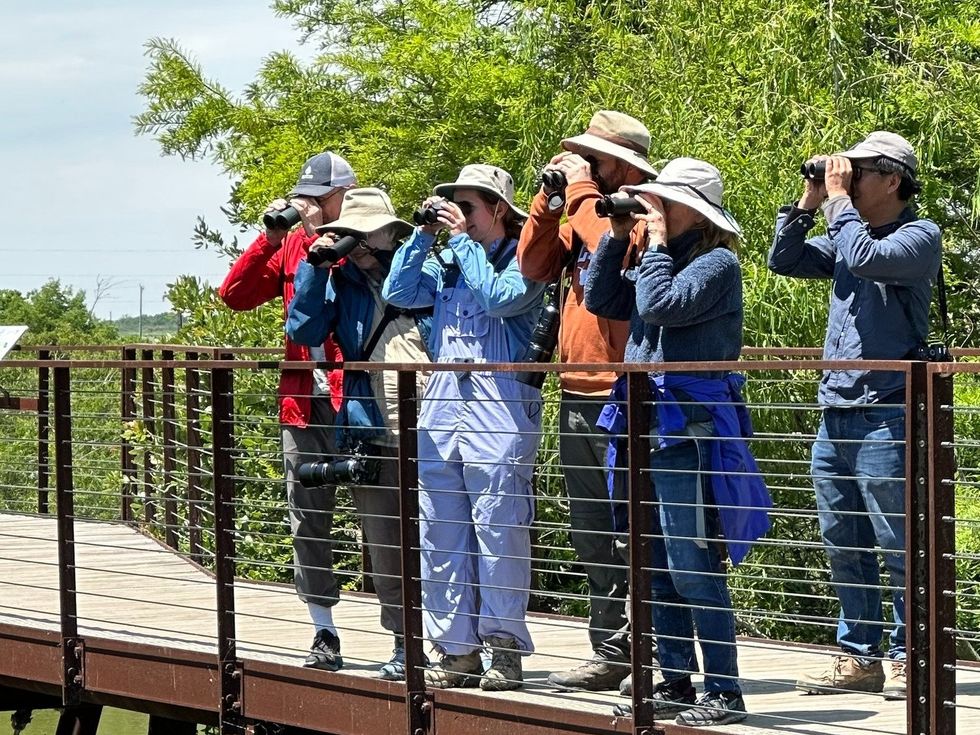 birders bird watching Houston Audubon